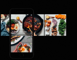 Larissa Ayón - Digital design