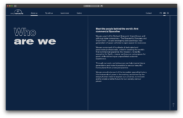 Larissa Ayón - Digital design