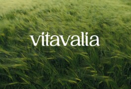 Larissa Ayón - Digital design