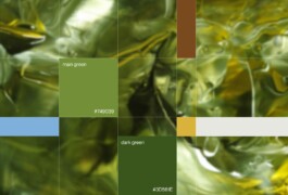 Larissa Ayón - Digital design