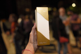 Larissa Ayón - Digital design