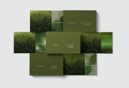 Larissa Ayón - Digital design