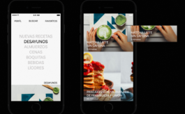 Larissa Ayón - Digital design