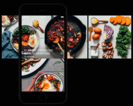 Larissa Ayón - Digital design