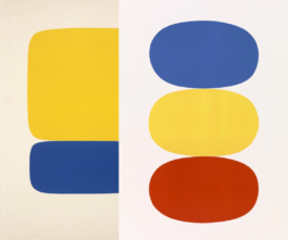 Larissa Ayón - Digital design