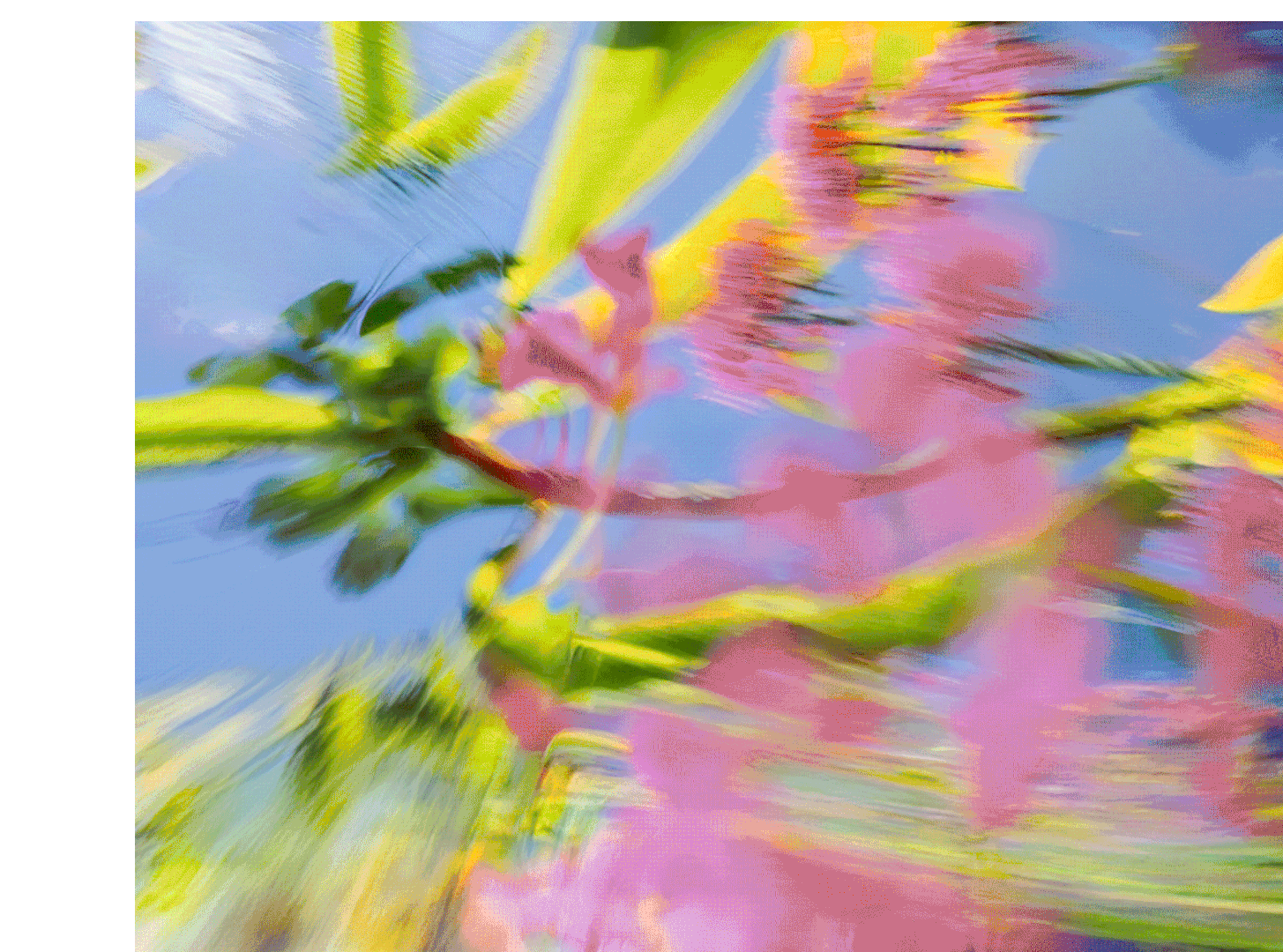  Larissa Ayón - Digital design