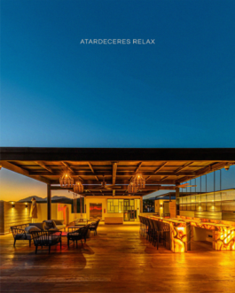 Larissa Ayón - Digital design